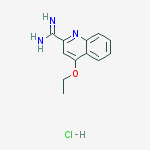 4-Ethoxyquinoline-2-carboximidamide hydrochloride