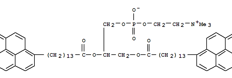 di-(1-pyrenemyristoyl)phosphatidylcholine