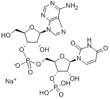ADENYLYL(3>5)URIDINE 3-MONOPHOSPHATE SODIUM