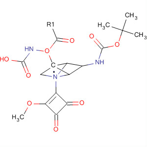 Carbamic acid,[2-[(2-methoxy-3,4-dioxo-1-cyclobuten-1-yl)amino]ethyl]-,2-[[(1,1-dimethylethoxy)carbonyl]amino]-1,3-propanediyl ester