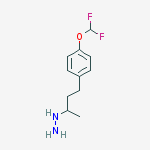 1-(4-[4-(difluoromethoxy)phenyl]butan-2-yl)hydrazine molecular structure
