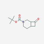 cis-tert-Butyl 8-oxo-3-azabicyclo[4.2.0]octane-3-carboxylate molecular structure
