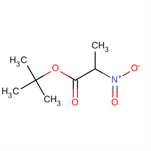 Propanoic acid, 2-nitro-, 1,1-dimethylethyl ester
