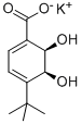 (2R,3S)-1-CARBOXY-4-TERT.-BUTYL-2,3-DI-HYDROXYCYCLOHEXA-4,6-DIENE, POTASSIUM SALT 99 molecular structure