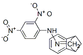 5,6,8,9-Tetrahydro-5,9-methano-7H-benzocyclohepten-7-one 2,4-dinitrophenyl hydrazone molecular structure