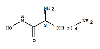 lysine hydroxamate