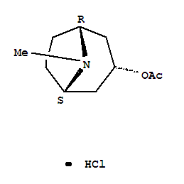 8-methyl-8-azabicyclo[3.2.1]oct-3-yl acetate hydrochloride (1:1) molecular structure