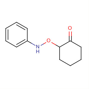 Cyclohexanone, 2-[(phenylamino)oxy]- molecular structure