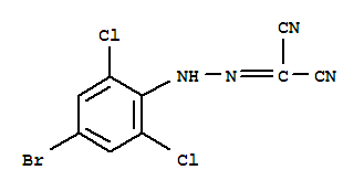 [(4-bromo-2,6-dichlorophenyl)hydrazono]propanedinitrile molecular structure
