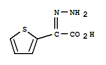 2-Thiopheneacetic acid,a-hydrazinylidene- molecular structure